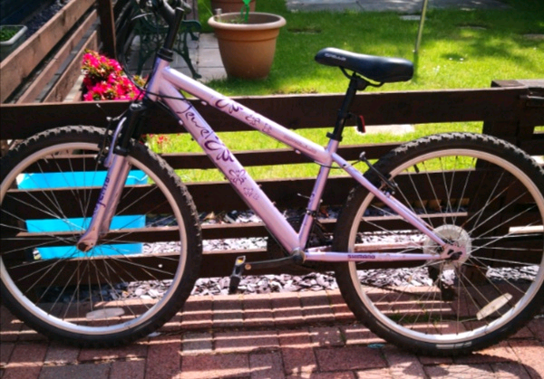 ladies 14 inch frame bike